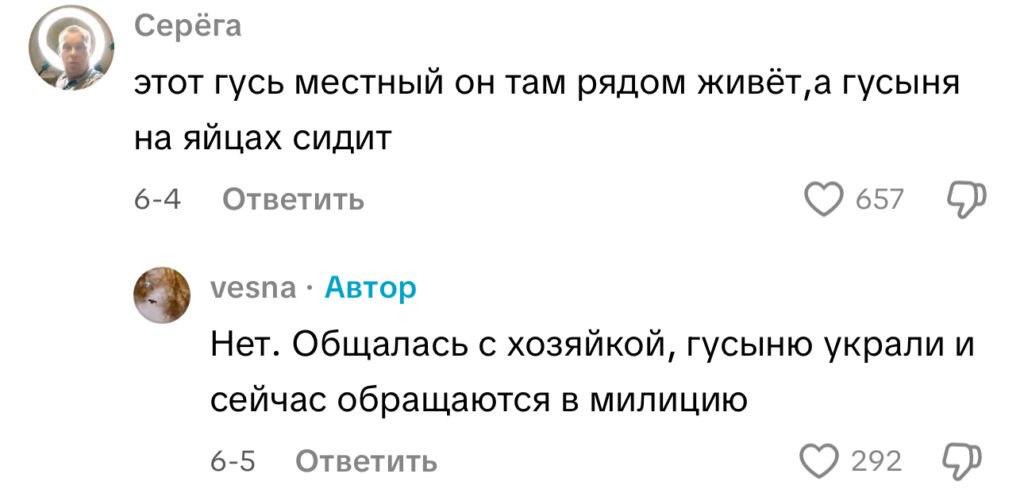 комментарий