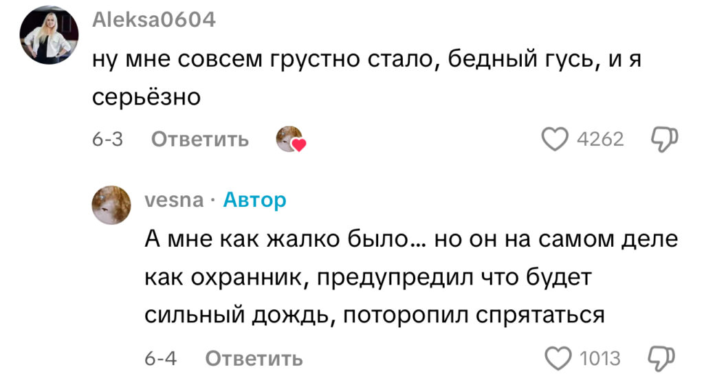 комментарий
