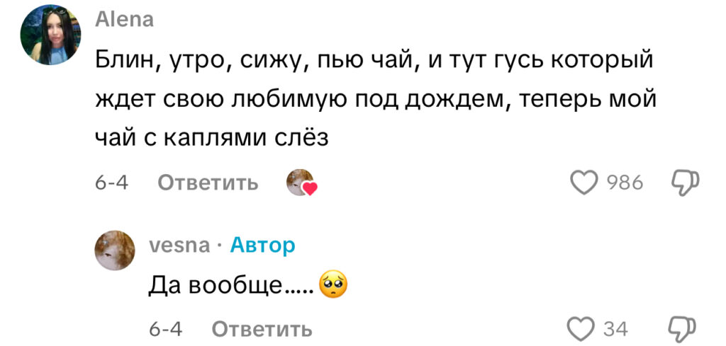 комментарий