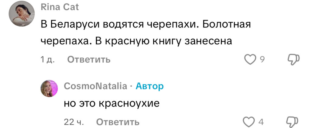 комментарий