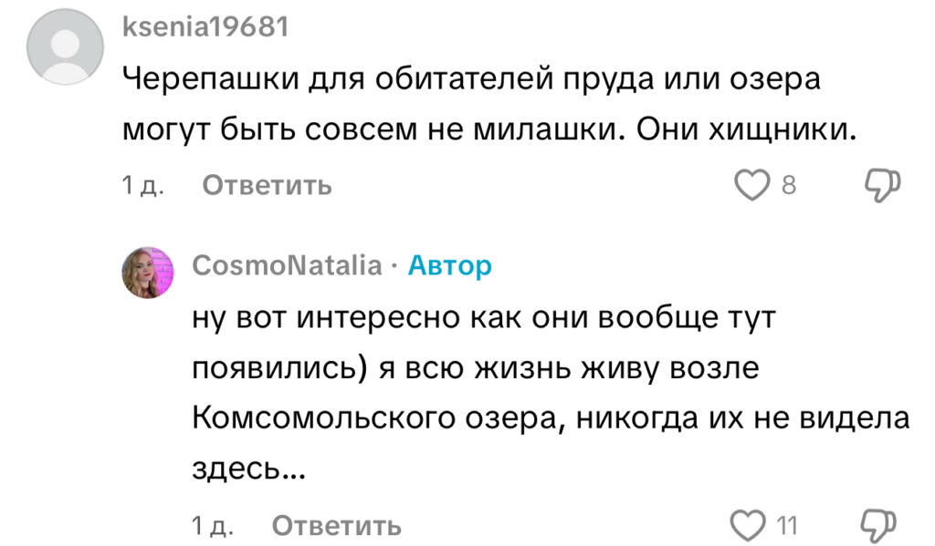 комментарий