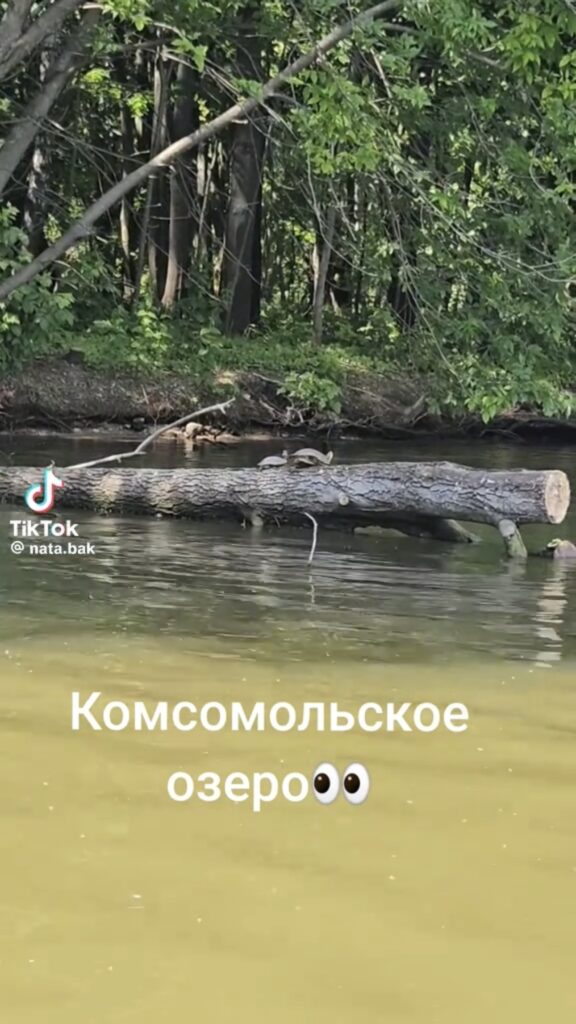комсомольское озеро