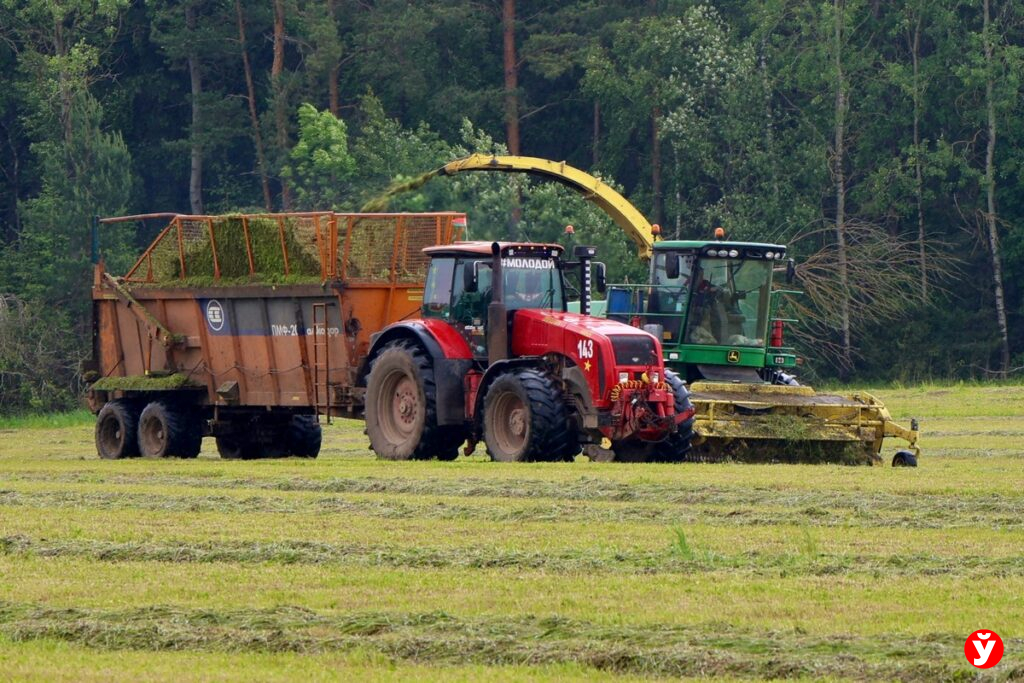 Как ОАО «Рубежевичи» бросают вызов небесной канцелярии — и выигрывают