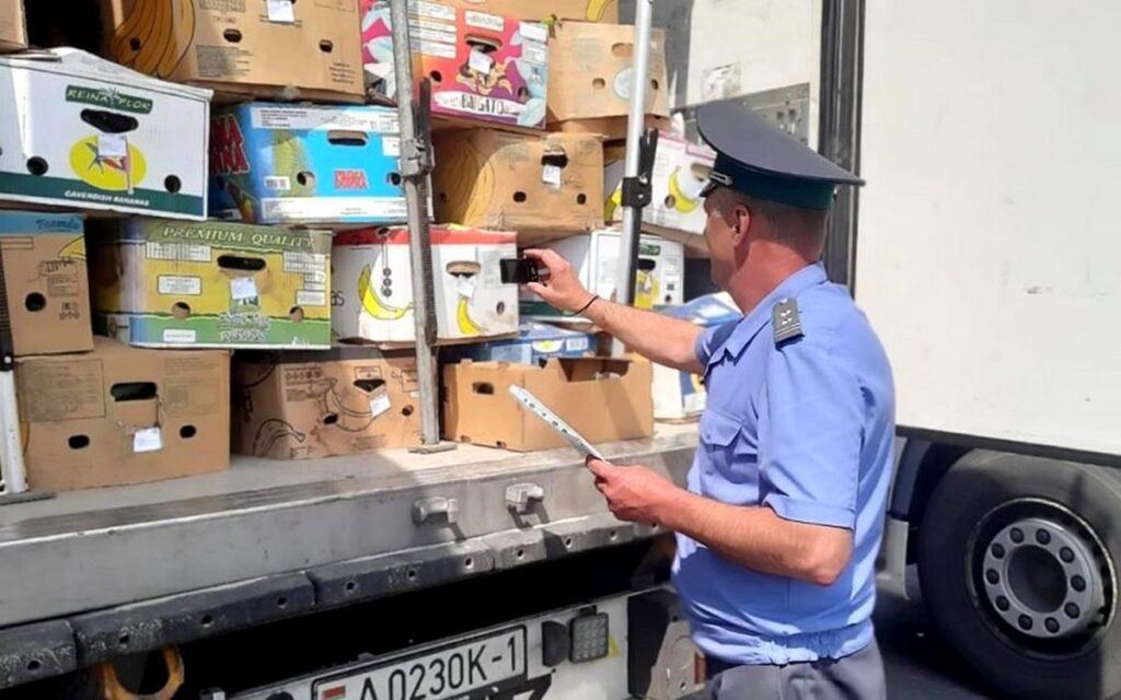 Россельхознадзор не пропустил в Беларусь 18 тонн огурцов