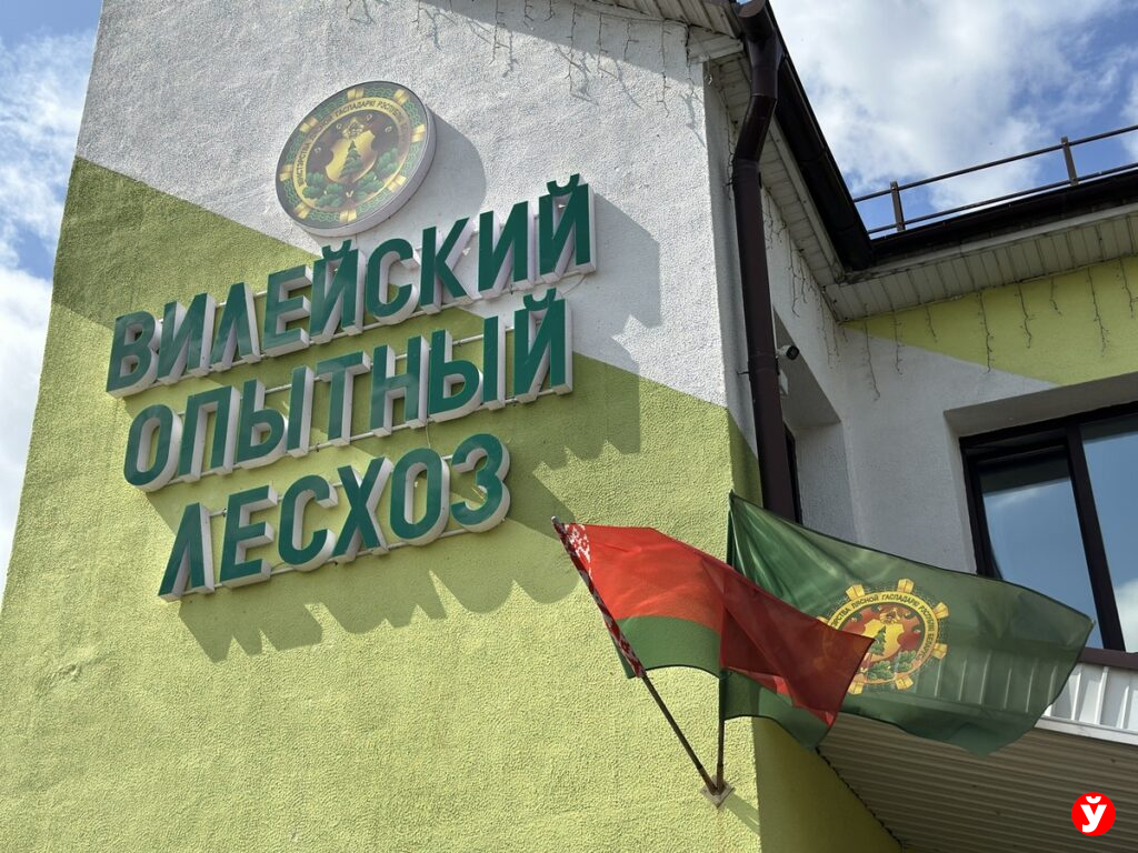 Лесхоз Вилейка
