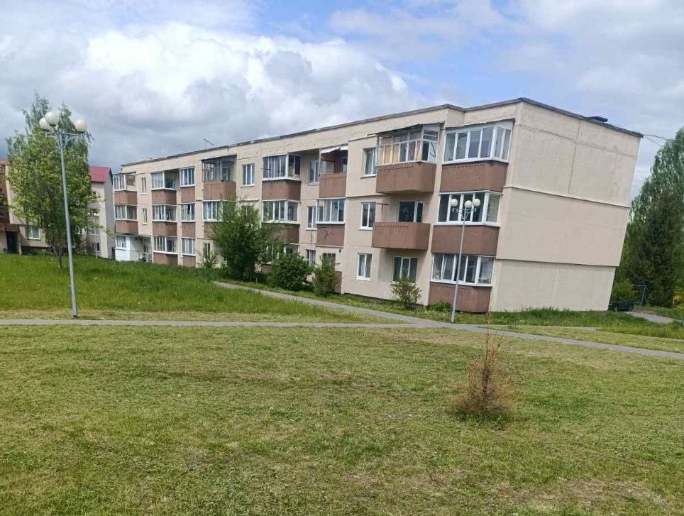 Состояние покосов в Смолевичском районе вызвало бурное обсуждение в TiTok