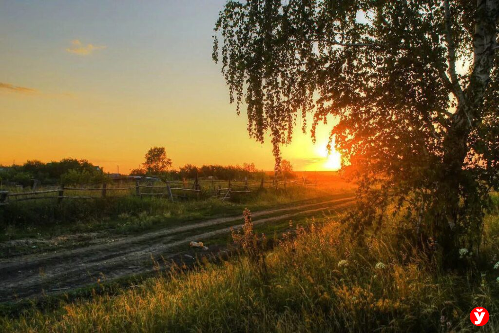 Фотопортрет июня: как встречают лето города Минщины