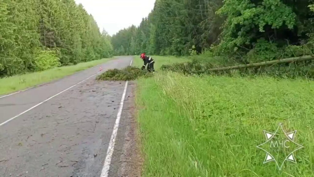 МЧС ликвидирует последствия непогоды в Минской области