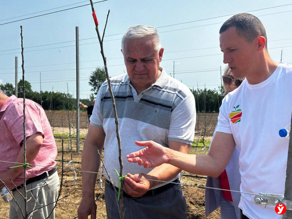 руководитель хозяйства