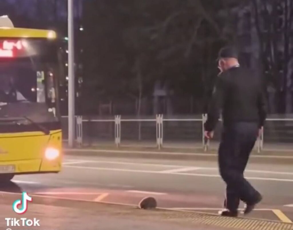 Ёжик под охраной: милое видео спасения ежа завирусилось в TikTok