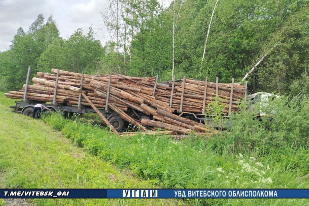 В Полоцком районе прицеп вылетел на встречку — погиб водитель лесовоза