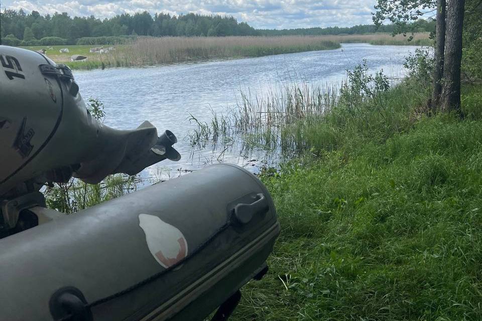 Тело пропавшего мужчины нашли с помощью квадрокоптера в притоке реки Птичь