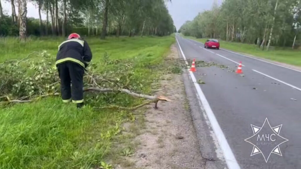В Минской области упавшие деревья повредили автомобили и окна