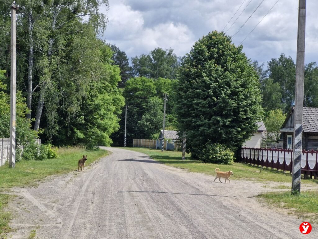 деревня