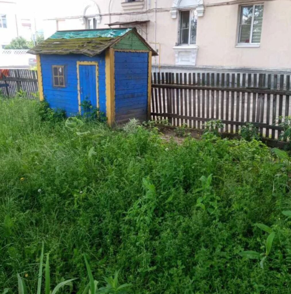 Жители улицы Минской в Борисове пожаловались на высокую траву — что ответили коммунальные службы