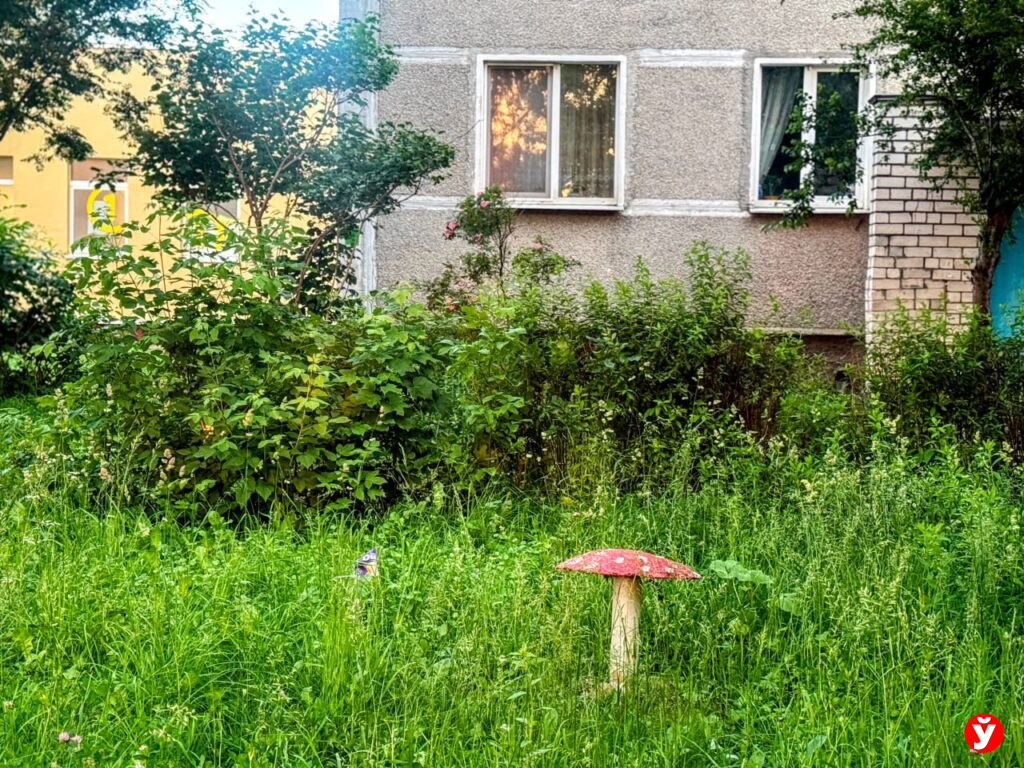 дом
