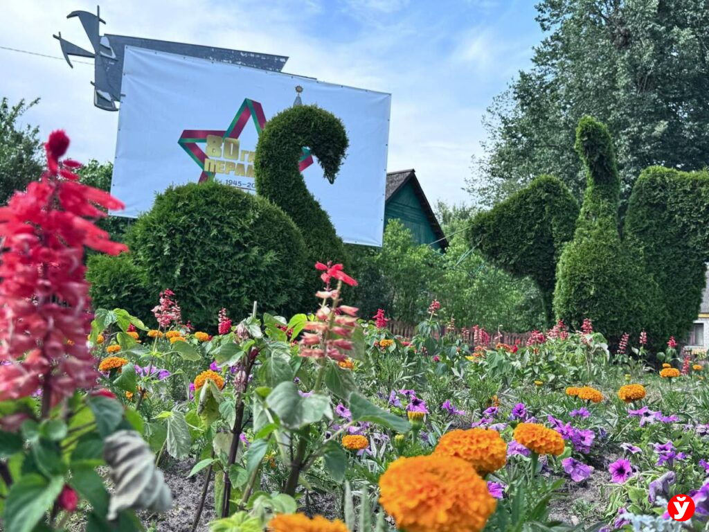цветы