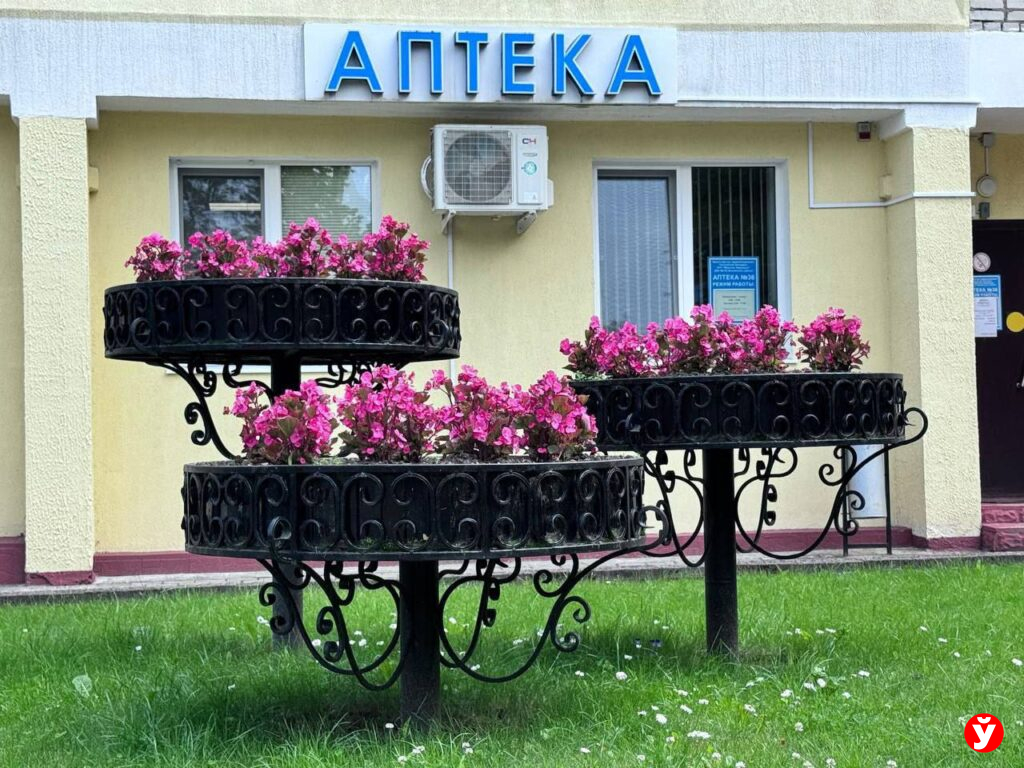 цветы