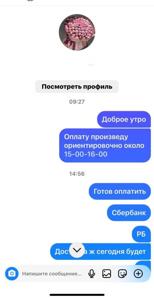 Мошенники Борисов