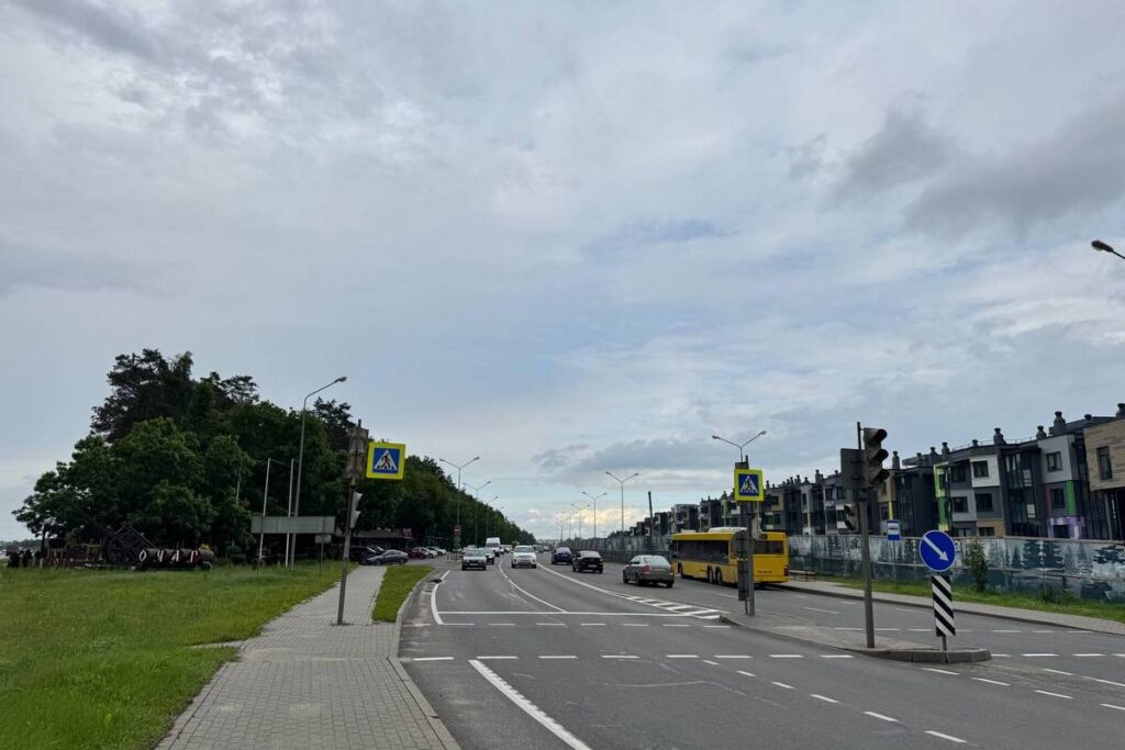 В Боровлянах вырубают деревья напротив «Очага». Узнали причину