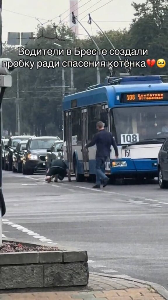 пробка