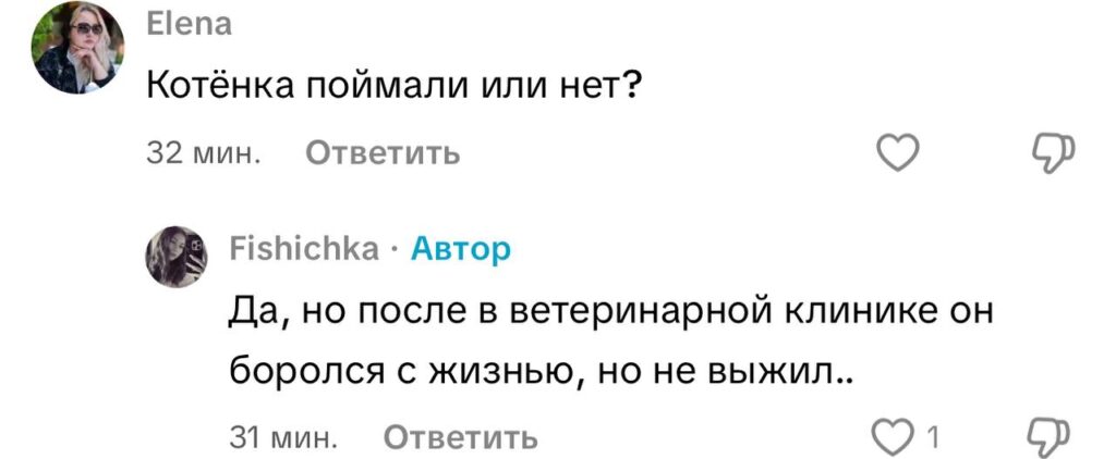комментарий