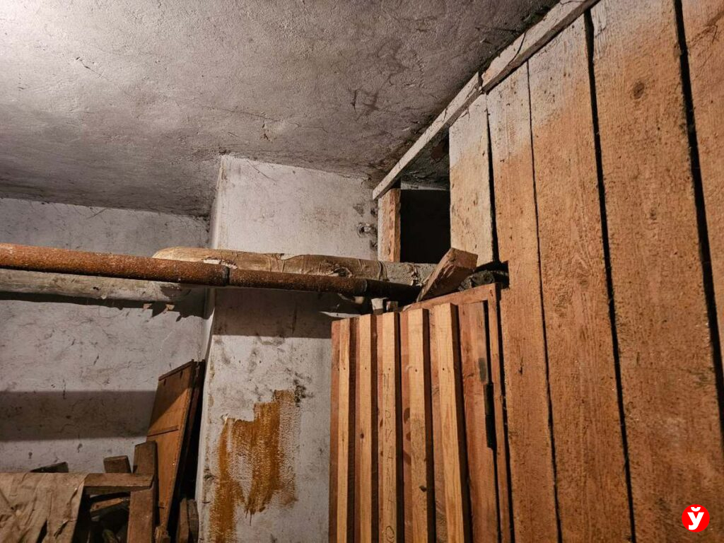 Борисов, проблема