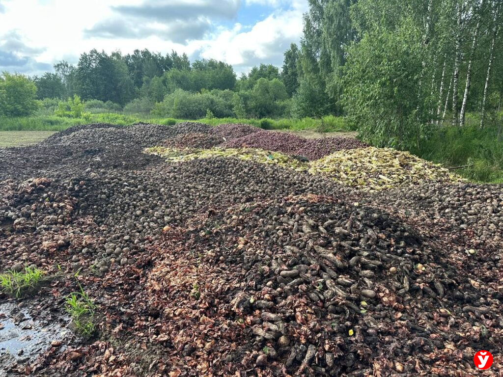 Овощи Смолевичи