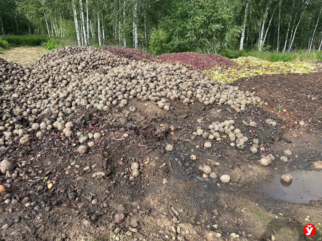 Овощи Смолевичи