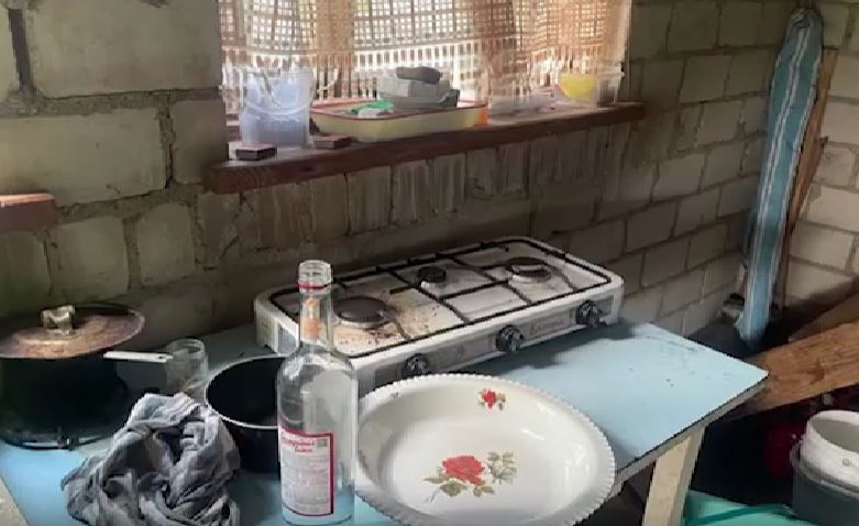 Пьяный мужчина гулял голышом по даче под Солигорском — соседи вызвали милицию и спасли ему жизнь