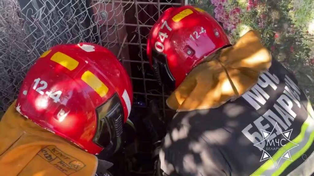 В Минском районе спасатели освободили собаку, застрявшую в вольере