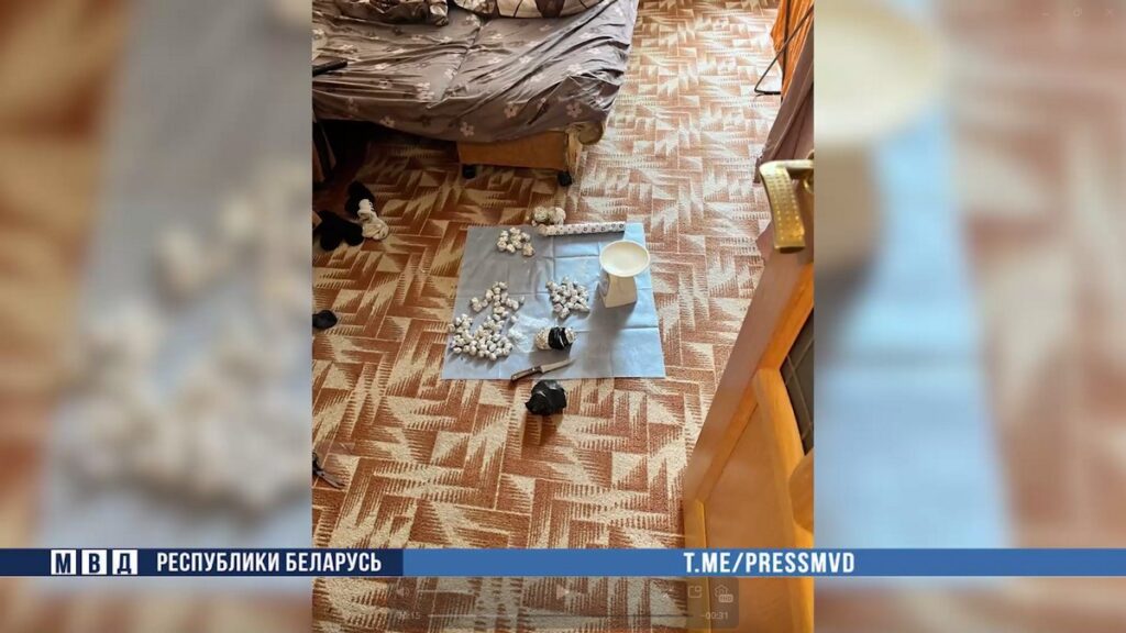 В Могилевской области задержали наркокурьера