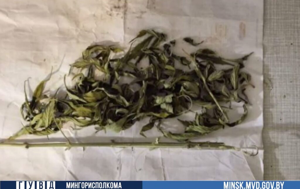 В Минске задержаны 6 наркокурьеров