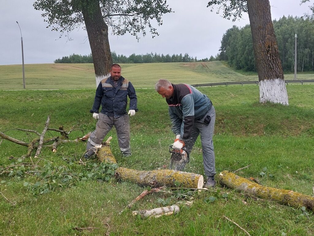 Бригады работают на Кургане Славы после урагана: спецтехника вывозит поваленные деревья