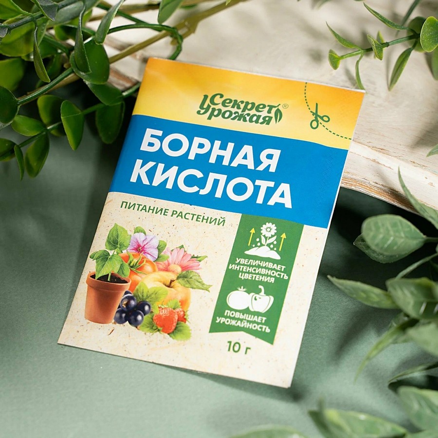 Морковь
