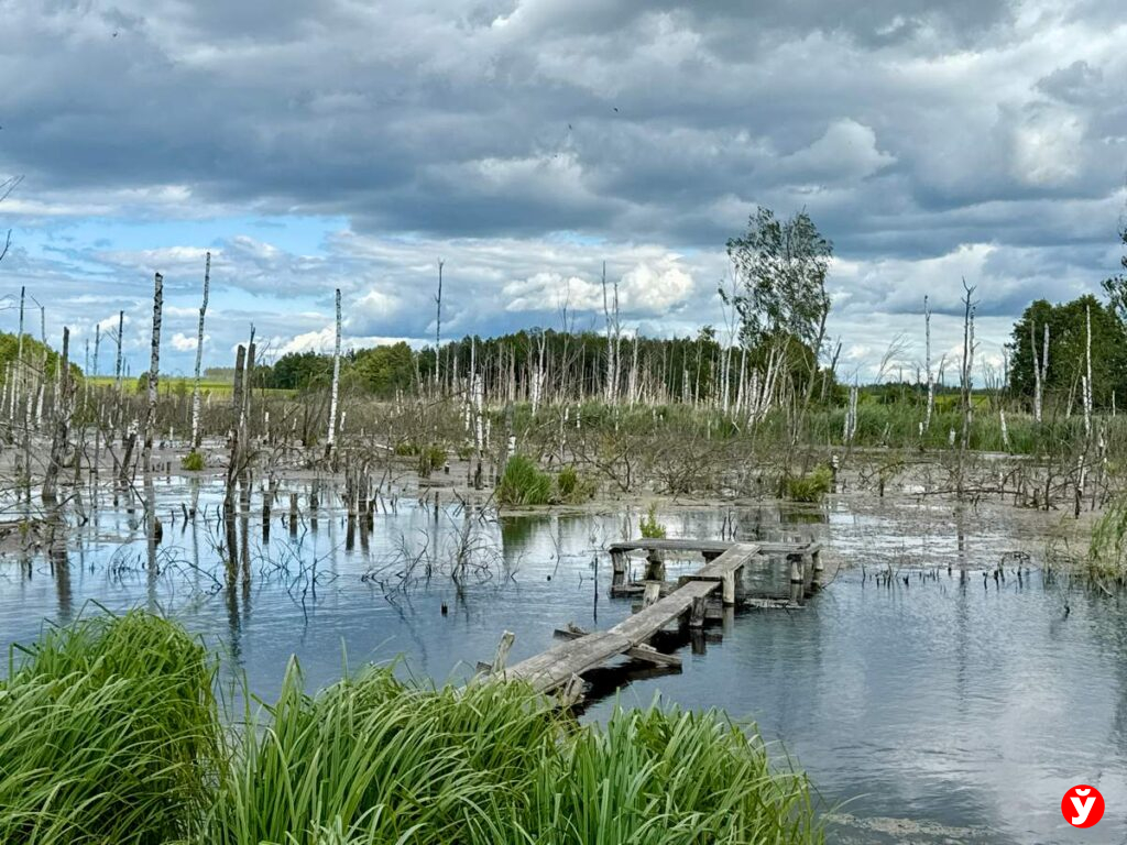 Копыль