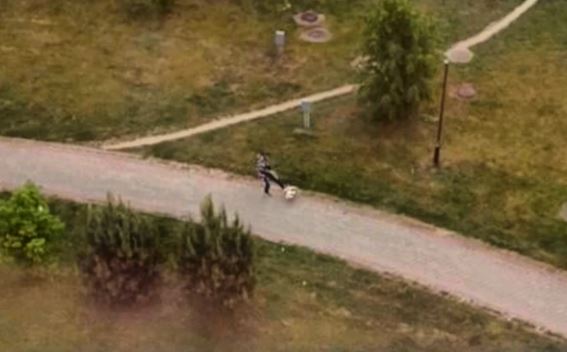 Какой приговор вынес суд гродненцу, который избил собаку
