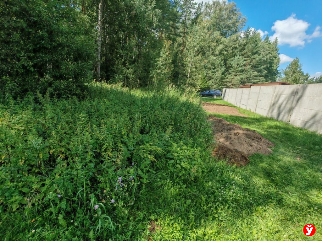 Узда прием