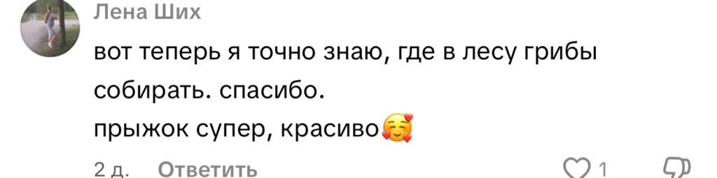 комментарий