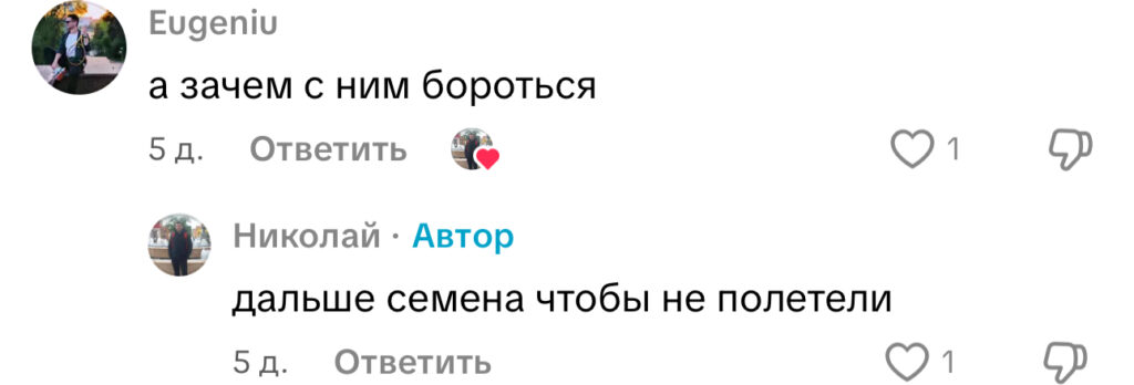 комментарий