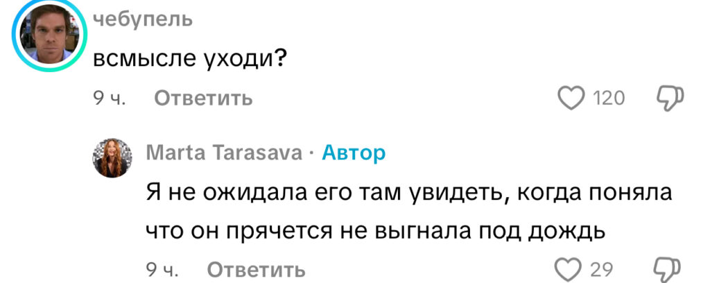комментарий