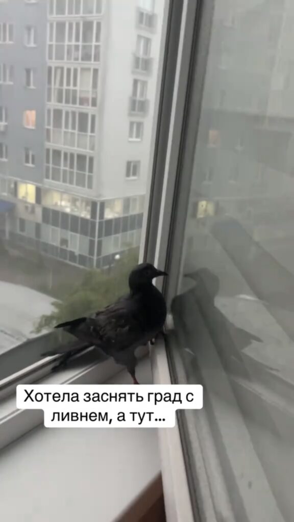 град и ливень