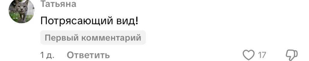 комментарий