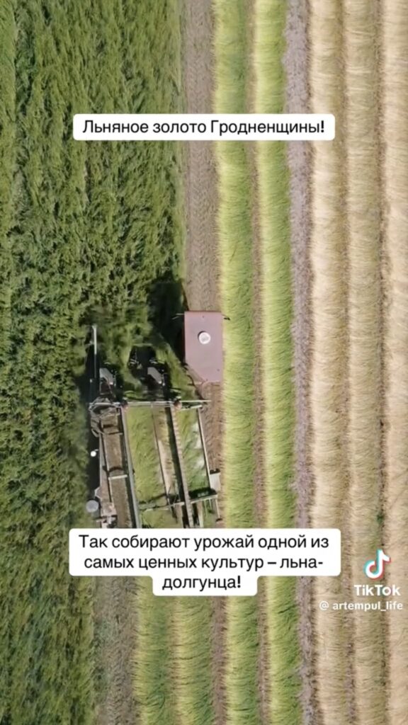 лен-дрогунец