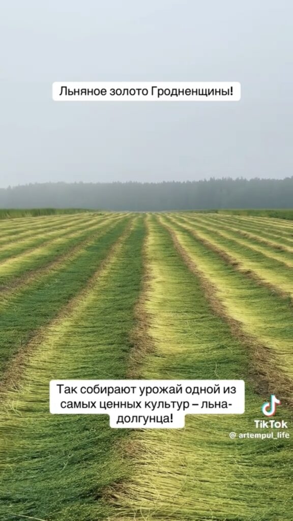 поле