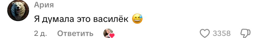 комментарий