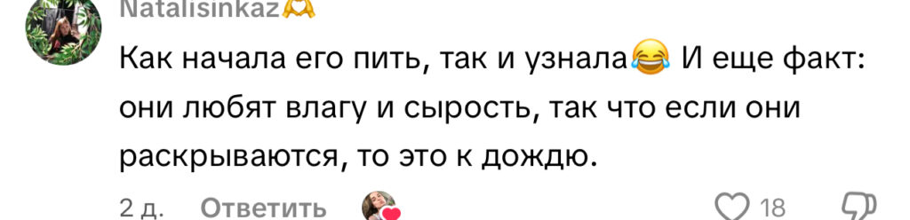 комментарий