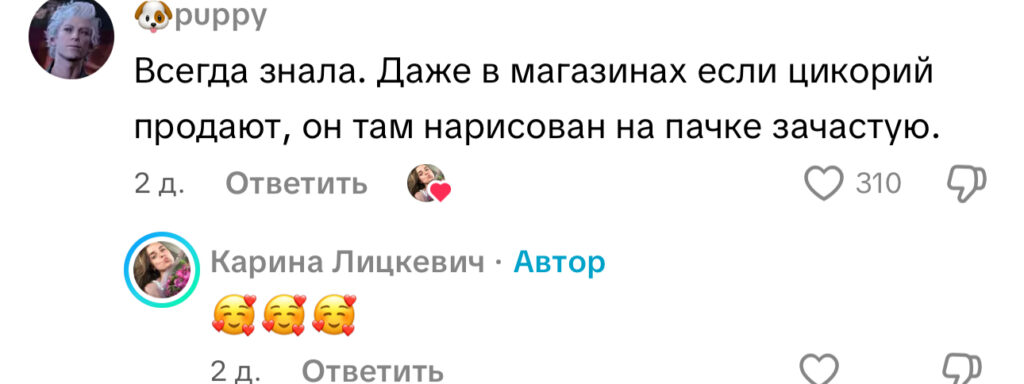 комментарий