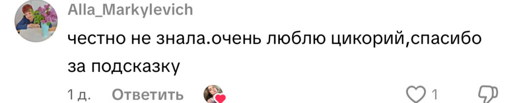 комментарий