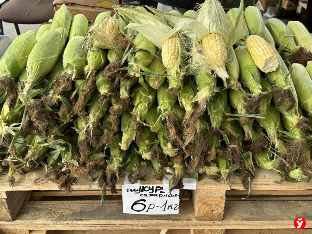 кукуруза